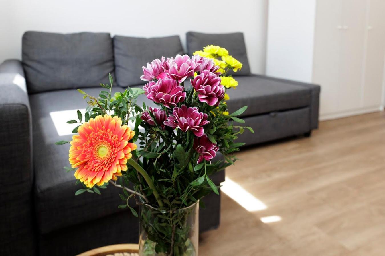 ברטיסלאבה Diamond Residence In Old Town With Free Parking מראה חיצוני תמונה